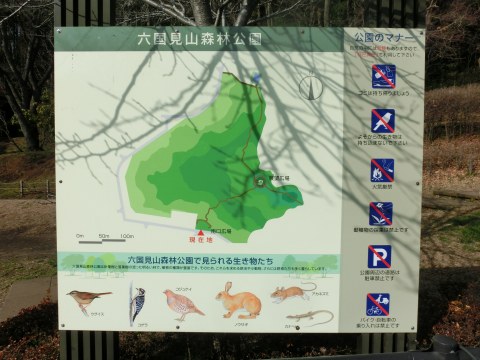 e0045768_2123746.jpg