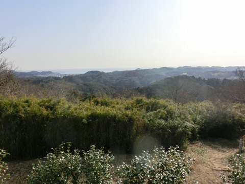 e0045768_21641.jpg