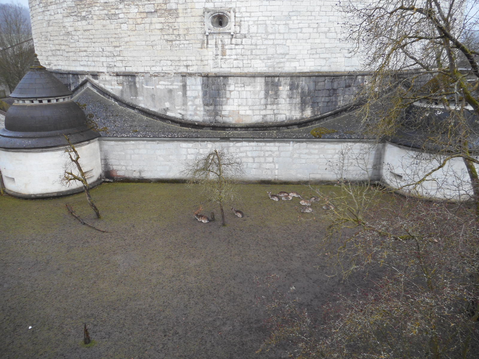 f0163873_09521165.jpg