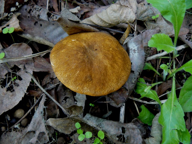 d0019074_957423.jpg
