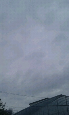 f0127282_18275446.jpg