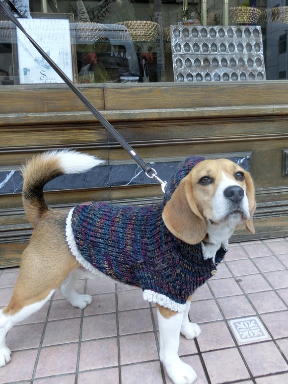 a0319693_17455978.jpg