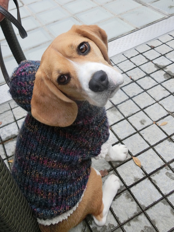 a0319693_1832047.jpg
