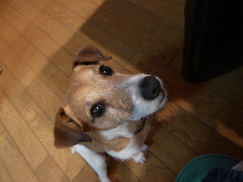b0321595_00003133.jpg