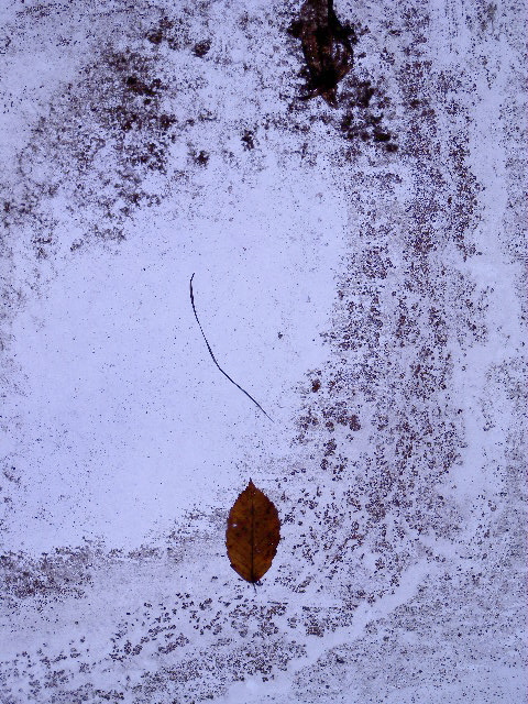 a0199297_23301379.jpg