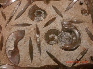 c0151898_817818.jpg