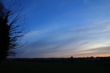 e0206902_481484.jpg