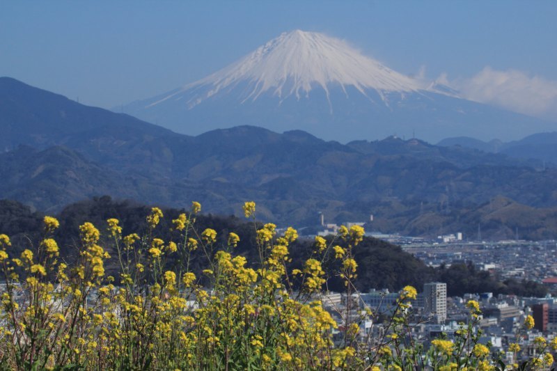 a0188405_19194411.jpg
