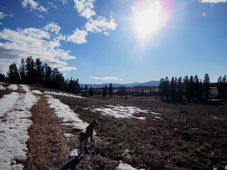 a0310405_05063760.jpg