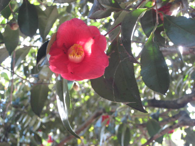 f0139520_10373252.jpg