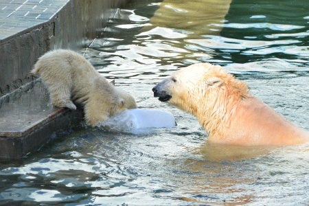 f0344626_23401404.jpg