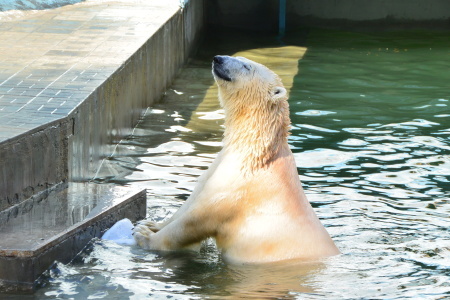 f0344626_23402056.jpg