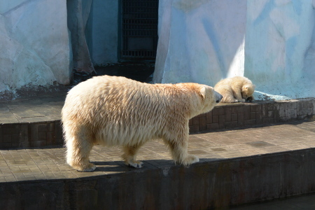 f0344626_23414799.jpg