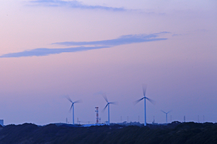 c0104227_921599.jpg
