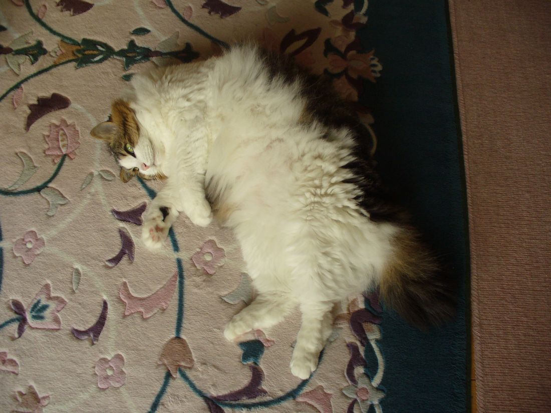 f0346527_2244313.jpg