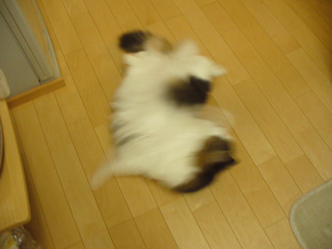 f0346527_22542211.jpg