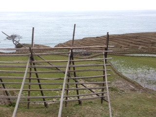 c0051529_1040014.jpg