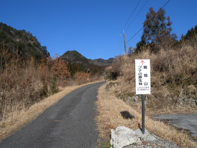 e0272335_5184575.jpg