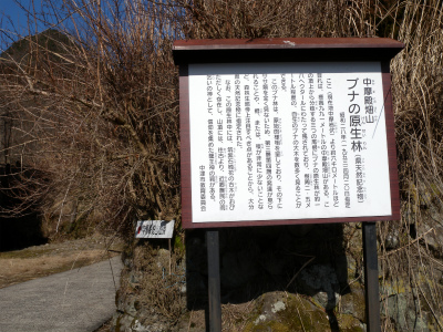 e0272335_525027.jpg