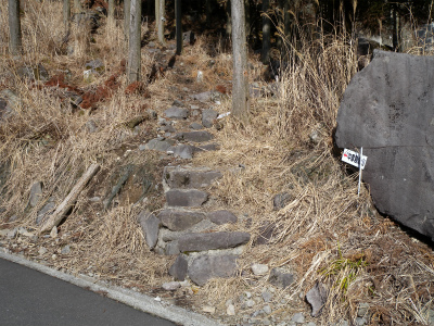 e0272335_531433.jpg
