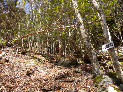 e0272335_5335431.jpg