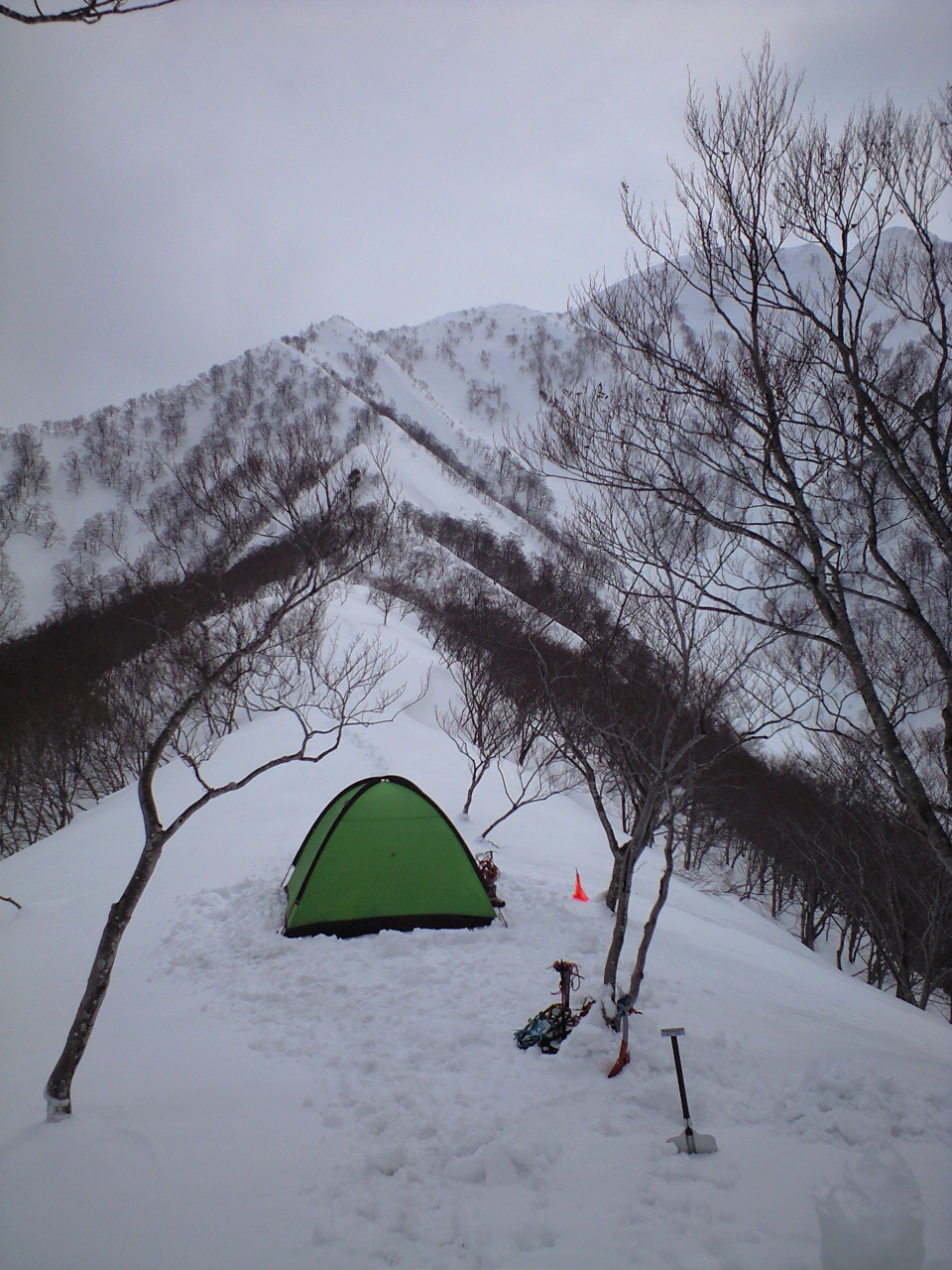 d0107938_12553174.jpg