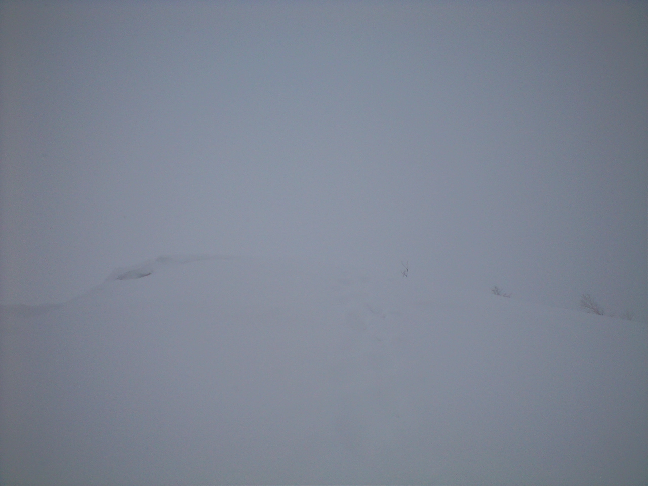 d0107938_136141.jpg