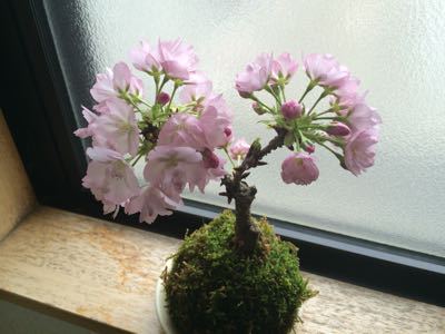 f0219441_2211545.jpg
