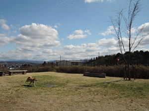 a0286855_1574346.gif