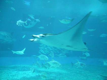 f0223565_2140921.jpg