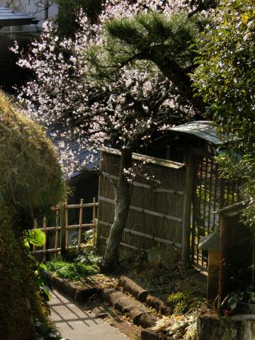 e0045768_2221311.jpg