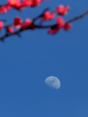 e0045768_2295846.jpg
