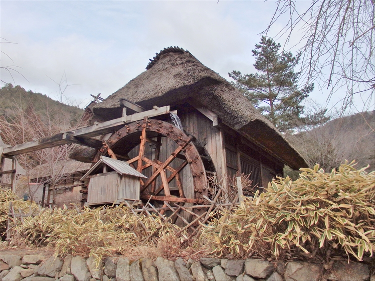 d0031171_7505997.jpg