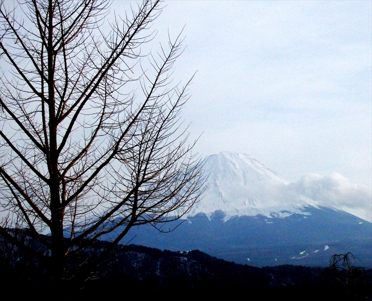 d0031171_7533736.jpg