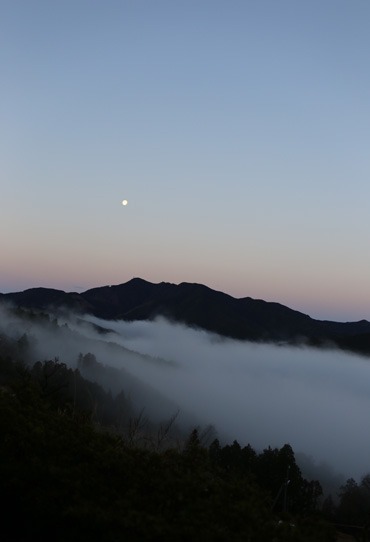 b0086273_17521499.jpg
