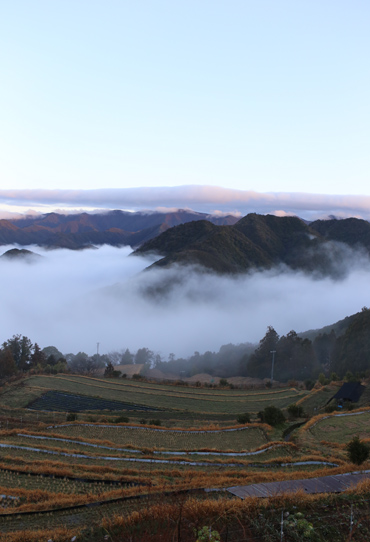 b0086273_20545330.jpg