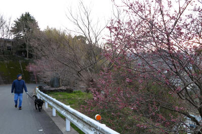 f0037378_19254983.jpg