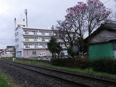 e0130185_11531772.jpg