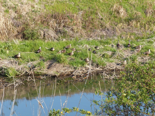 f0357487_2250532.jpg