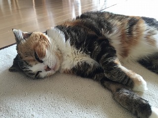 a0152391_09334389.jpg