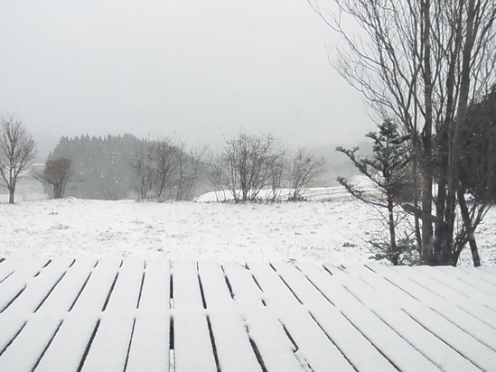 c0238603_7524022.jpg