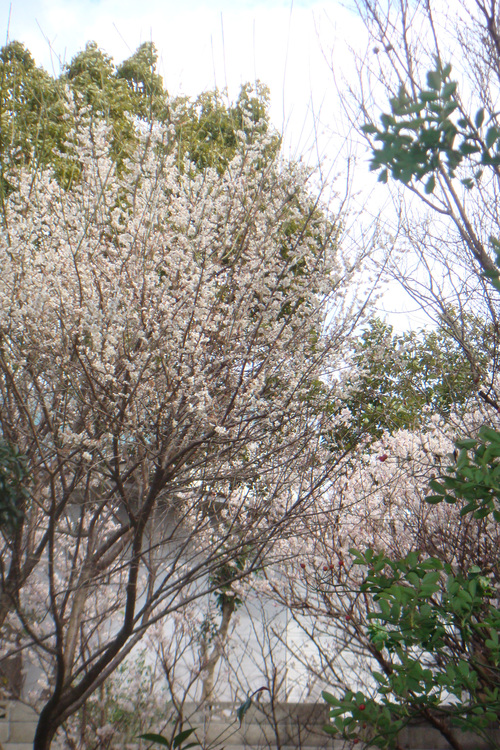 a0019212_2230143.jpg