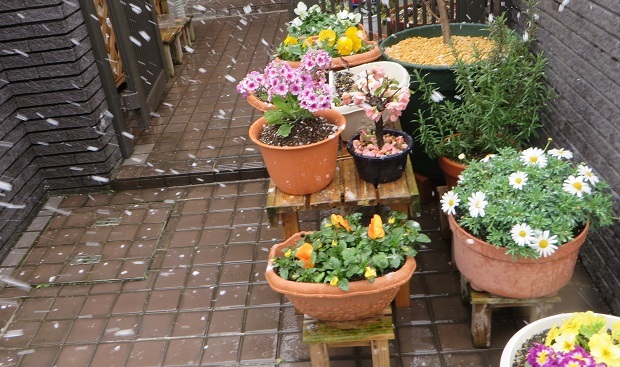 c0280322_23312250.jpg