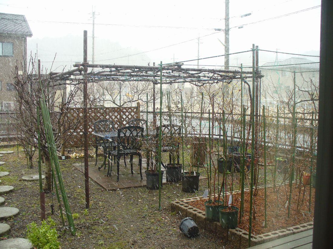 f0346527_22333115.jpg