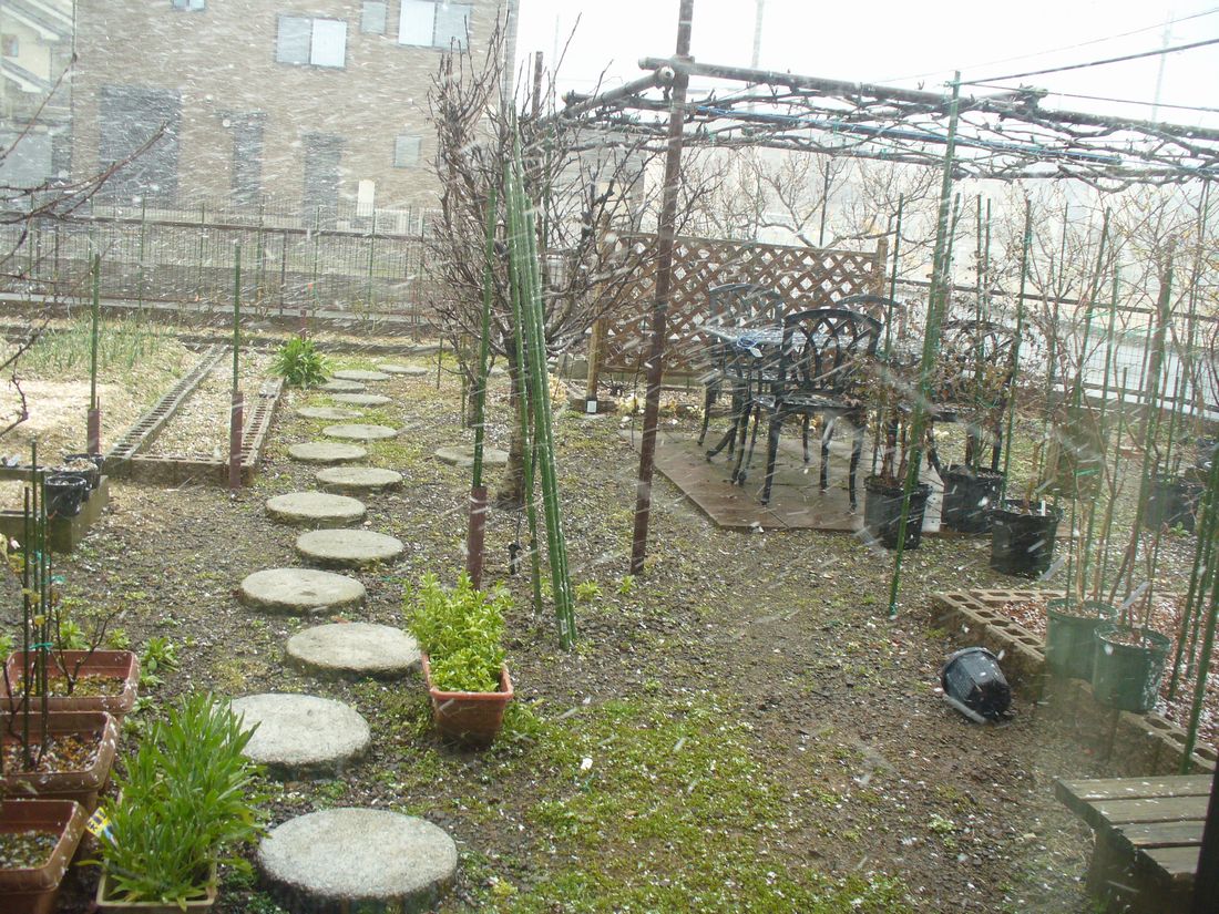 f0346527_22353977.jpg