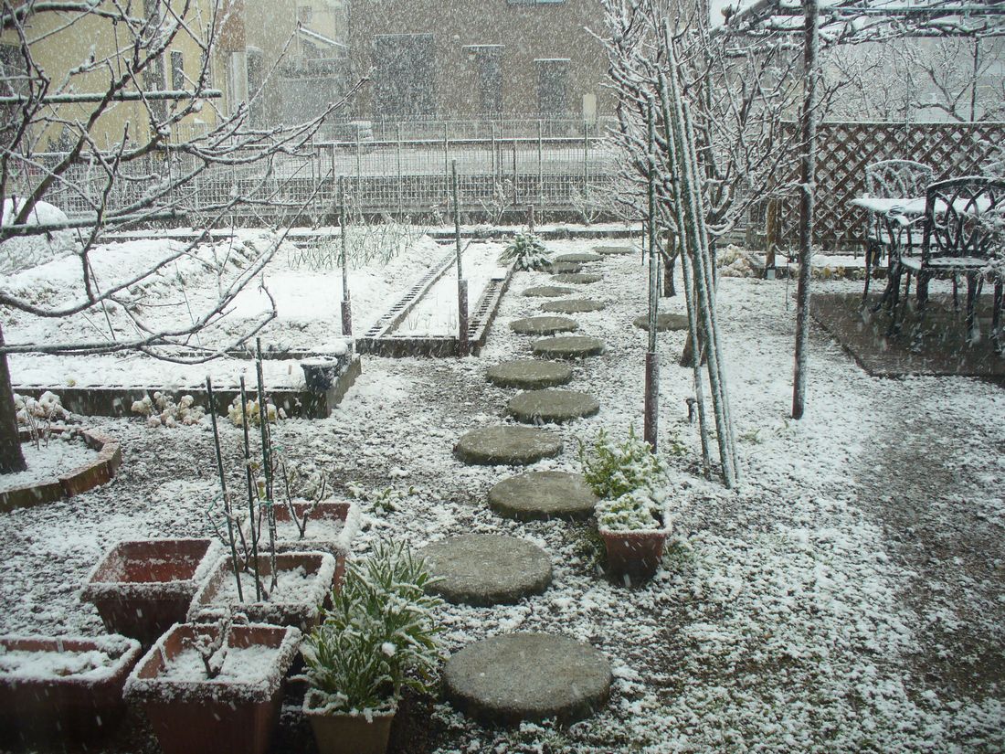 f0346527_22363294.jpg