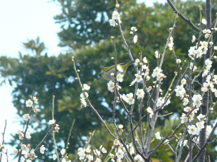c0009528_15421818.jpg