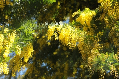 c0147830_1741693.jpg