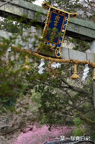 b0309043_1156543.jpg