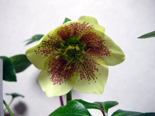 c0147952_0553169.jpg